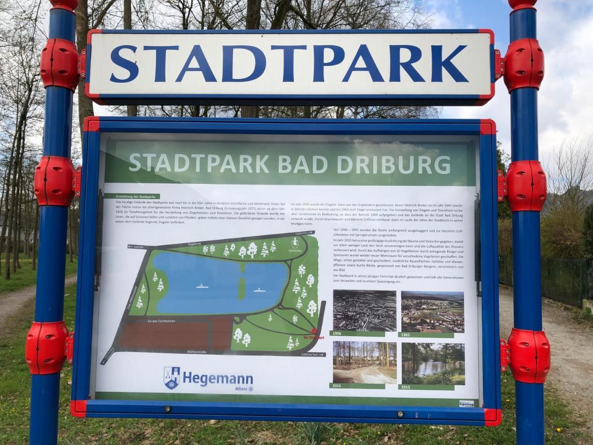 Exklusives Wohnen Am Stadtpark Bad Driburg Luaran gambar