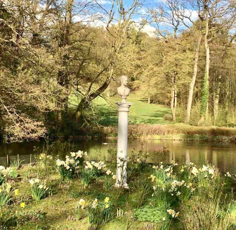 Exklusives Wohnen Am Stadtpark Bad Driburg Luaran gambar